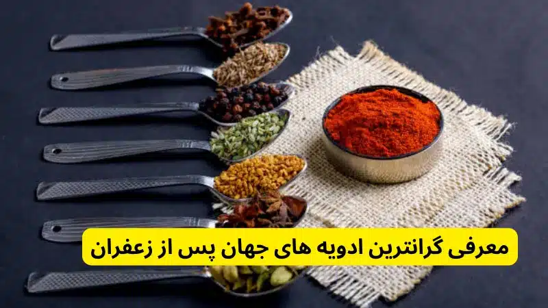 معرفی گرانترین ادویه های جهان پس از زعفران