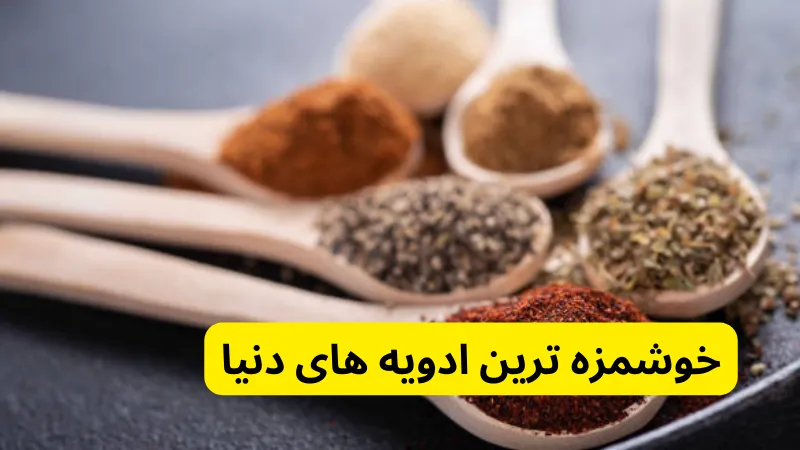 خوشمزه ترین ادویه های دنیا