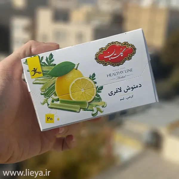 دمنوش کیسه ای لاغری لیمو و کرفس گلستان 11 قیمت و خرید دمنوش کیسه ای لاغری لیمو و کرفس گلستان