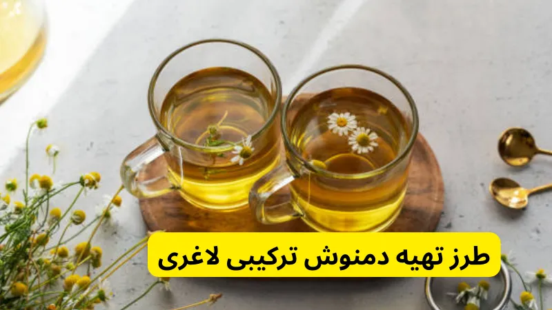 طرز تهیه دمنوش ترکیبی لاغری