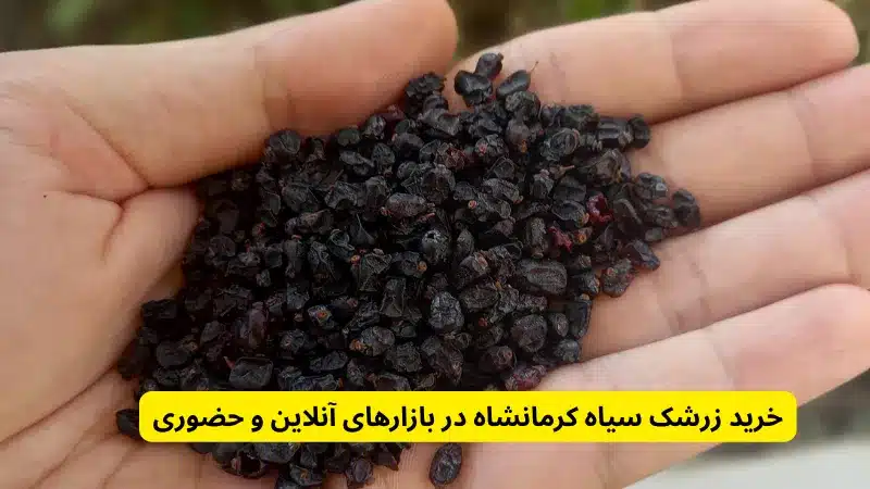 قیمت و خرید زرشک سیاه کرمانشاه در بازارهای آنلاین و حضوری