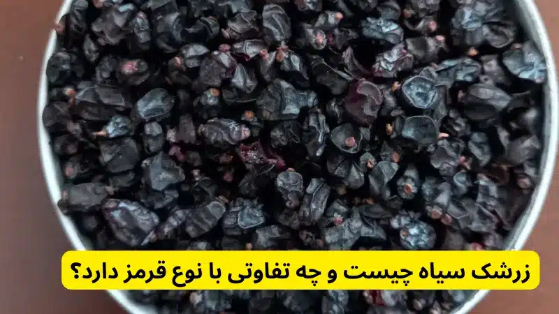 زرشک سیاه چیست و چه تفاوتی با نوع قرمز دارد؟