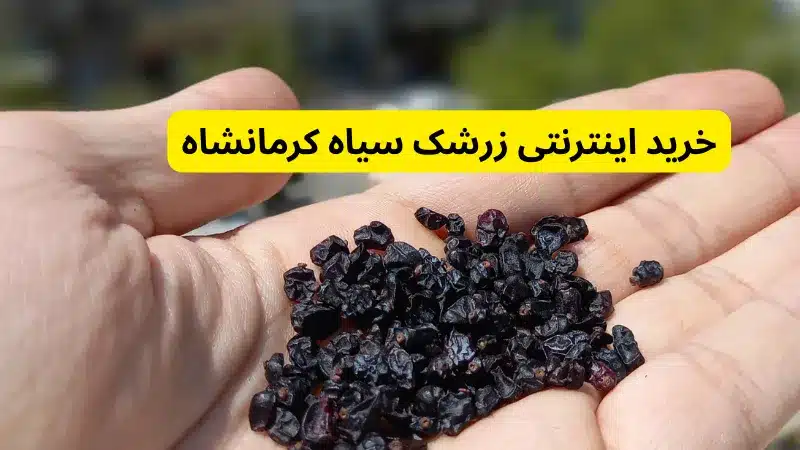 قیمت و خرید اینترنتی زرشک سیاه کرمانشاه خورشتی و آب گیری
