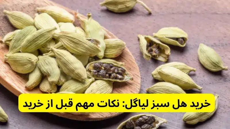 خرید هل سبز لیاگل: نکات مهم قبل از خرید