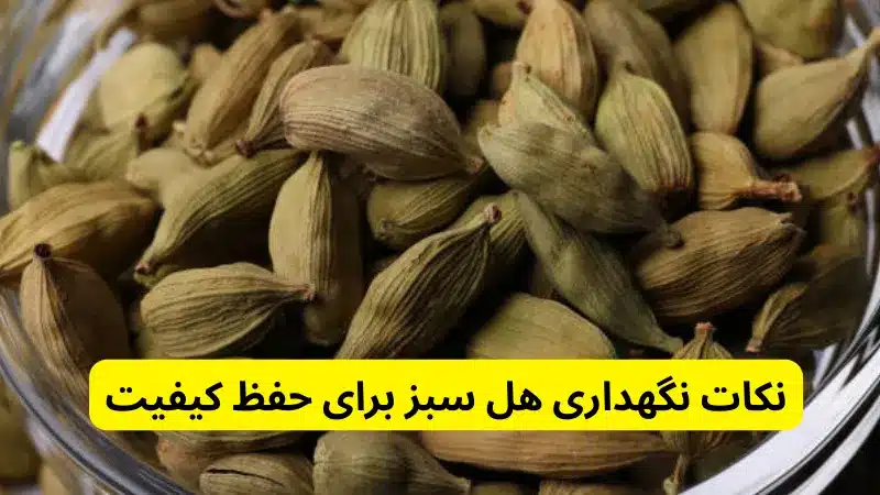 نکات نگهداری هل سبز برای حفظ کیفیت