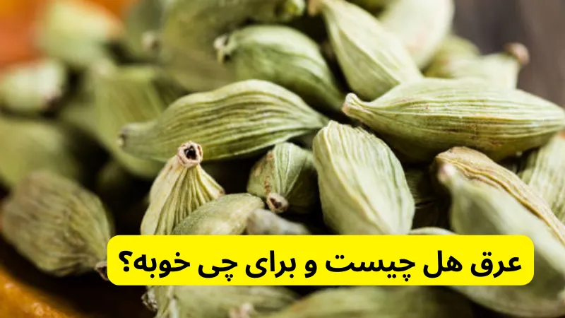 عرق هل چیست و برای چی خوبه؟