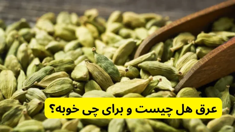 عرق هل چیست و برای چی خوبه؟