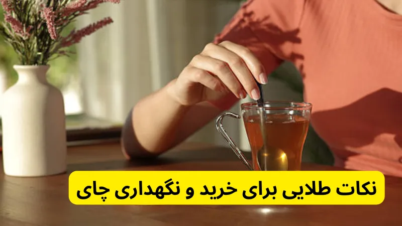 نکات طلایی برای خرید و نگهداری چای