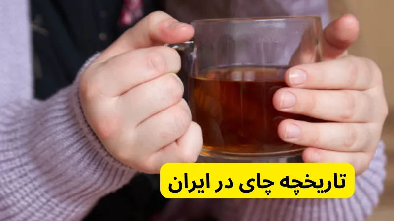 تاریخچه چای در ایران در صفر تا صد چای از تاریخچه تا فوت و فن دم کردن