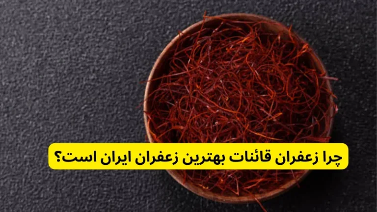 چرا زعفران قائنات بهترین زعفران ایران است؟