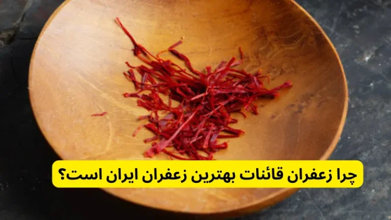چرا زعفران قائنات بهترین زعفران ایران است؟