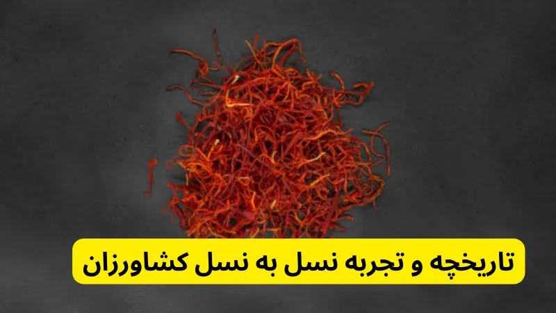 تاریخچه و تجربه نسل به نسل کشاورزان در چرا زعفران قائنات بهترین زعفران ایران است؟