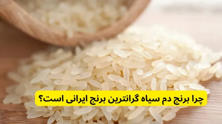 چرا برنج دم‌ سیاه گرانترین برنج ایرانی است؟