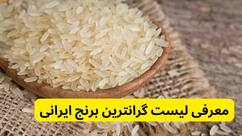 معرفی لیست گرانترین برنج ایرانی