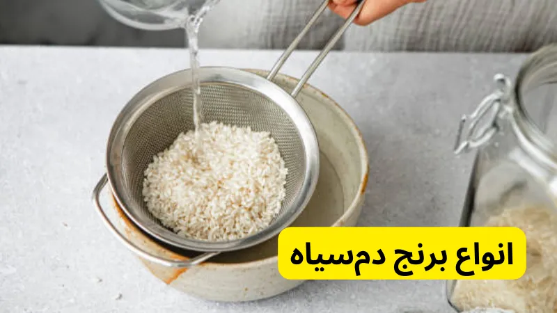 انواع برنج دم‌سیاه