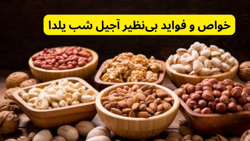 خواص و فواید بینظیر آجیل شب یلدا در قیمت و خرید آجیل شب یلدا