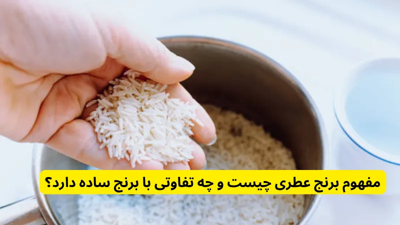 مفهوم برنج عطری چیست و چه تفاوتی با برنج ساده دارد؟