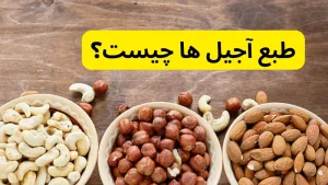 طبع آجیل‌ ها چیست؟