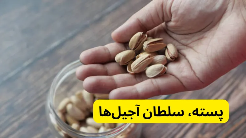 پسته، سلطان آجیلها در طبع آجیل ها چیست؟