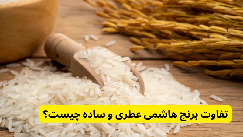 تفاوت برنج هاشمی عطری و ساده چیست؟