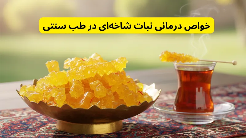 خواص درمانی نبات شاخهای در طب سنتی خرید نبات، قیمت نبات زعفرانی، خرید نبات فله