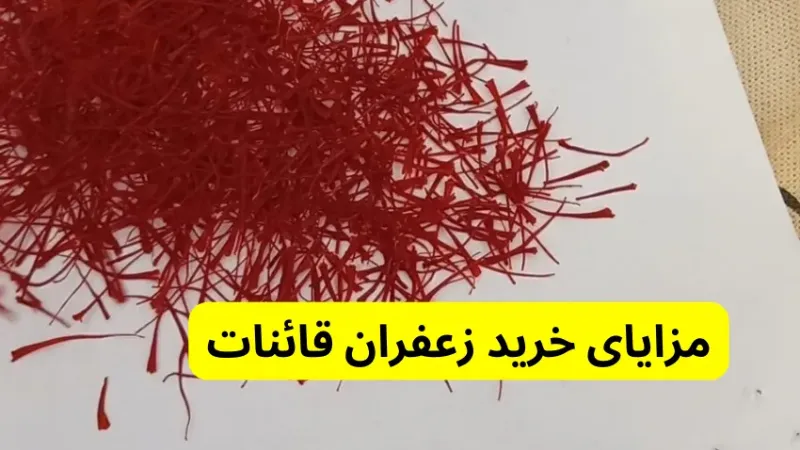 قیمت و خرید زعفران ممتاز اصل قائنات