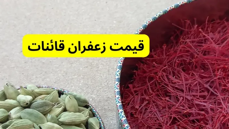 لیست قیمت روز زعفران قائنات: مثقالی و گرمی