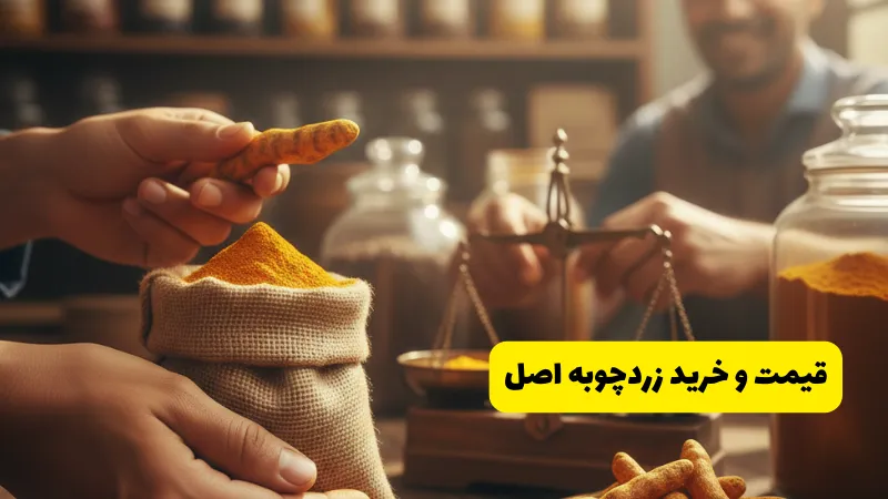 قیمت و خرید زردچوبه اصل